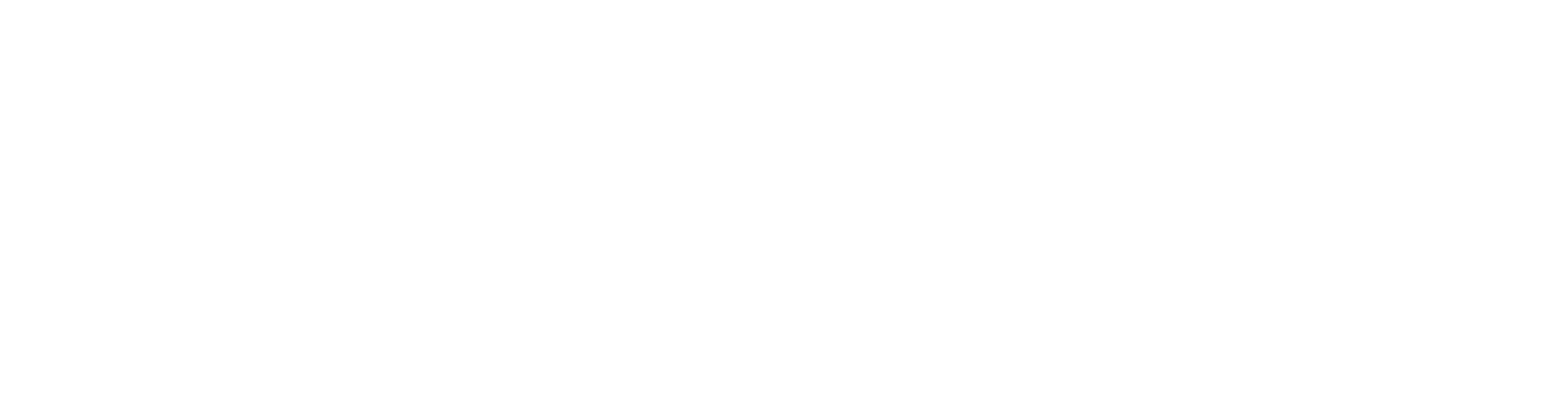 logo-apixa-group-white apixa group